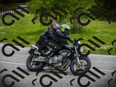 202505171129-DSC04879_c1_