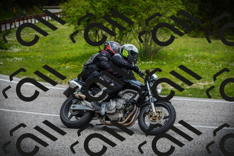 202505171129-DSC04879_c1_