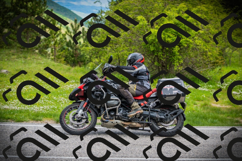 202505171133-DSC04892_c1_