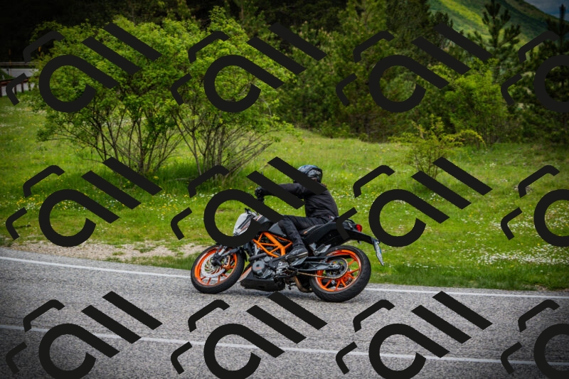 202505171134-DSC04904_c1_