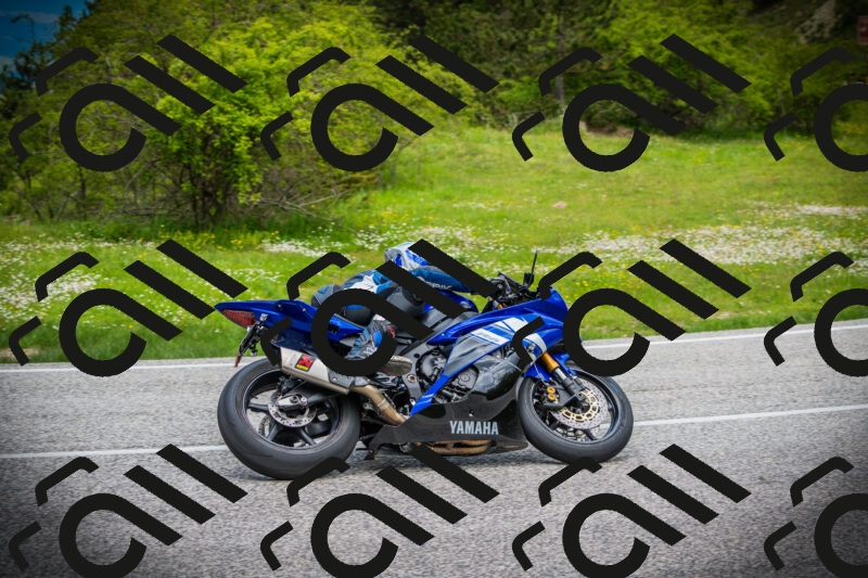 202505171137-DSC04921_c1_