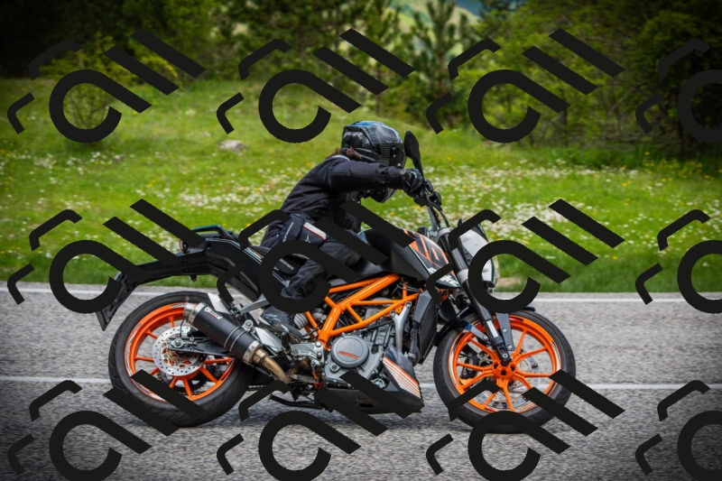 202505171137-DSC04925_c1_