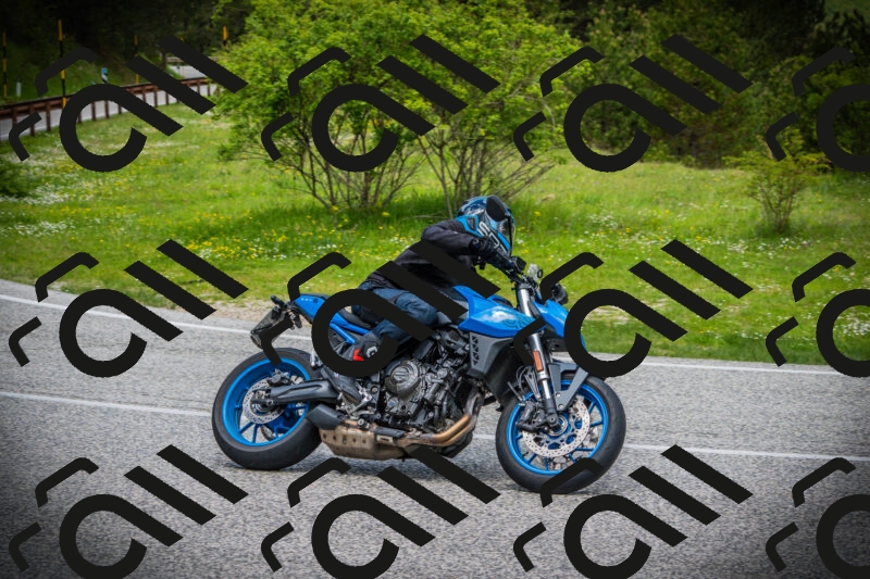 202505171138-DSC04944_c1_