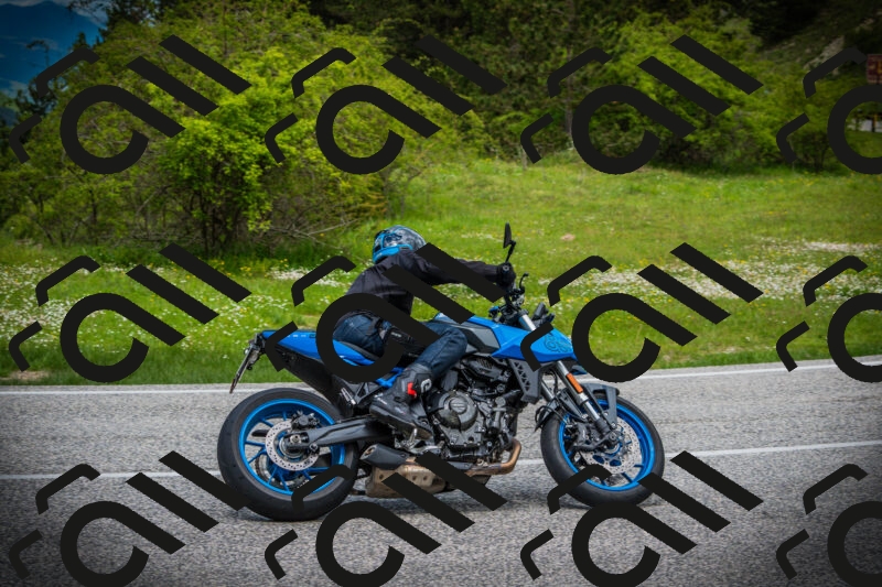 202505171138-DSC04945_c1_