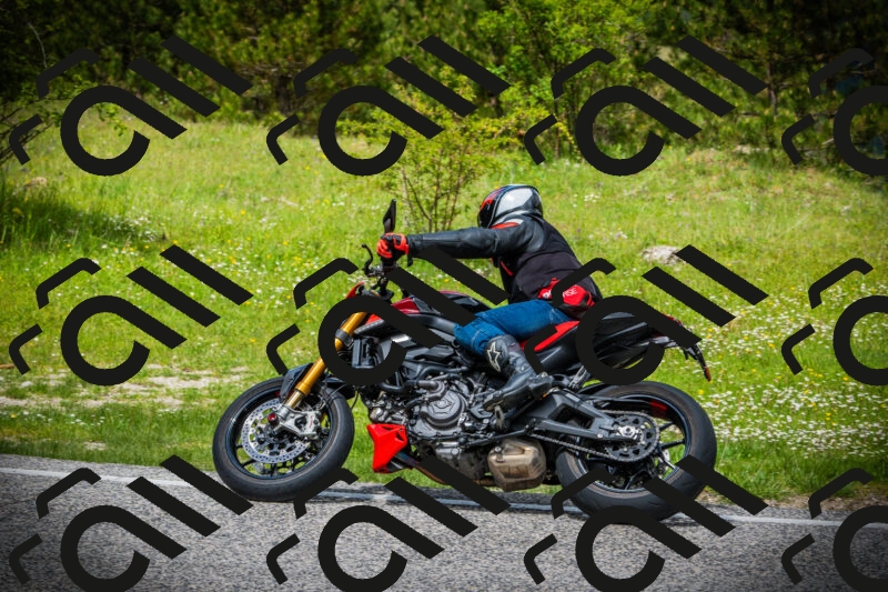 202505171139-DSC04958_c1_