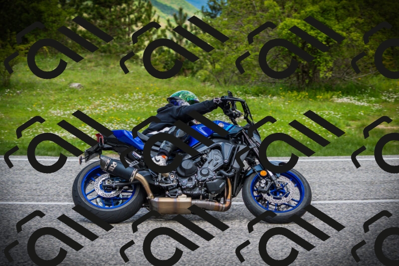 202505171146-DSC05016_c1_