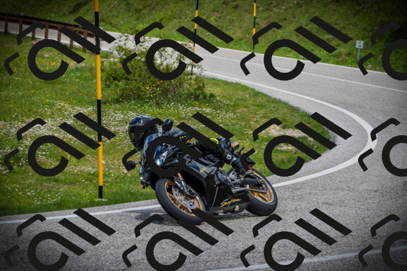 202505171146-DSC05025_c1_