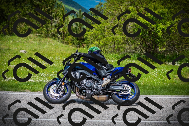 202505171146-DSC05032_c1_