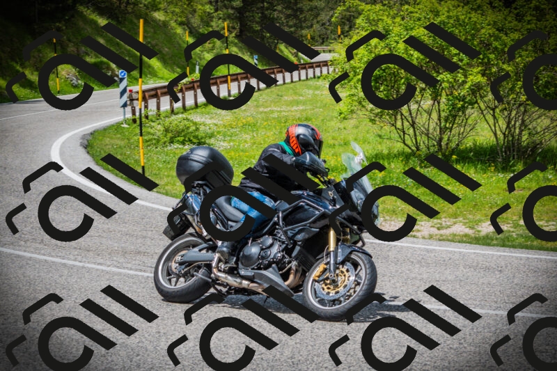 202505171147-DSC05044_c1_