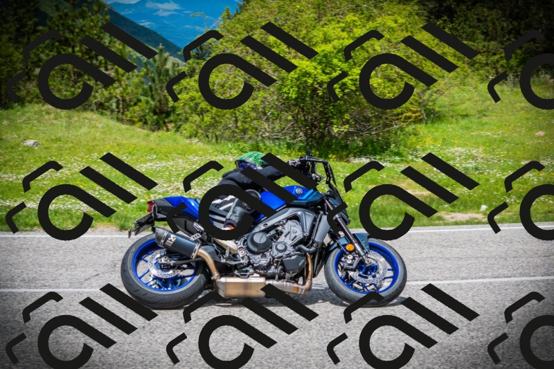 202505171147-DSC05062_c1_