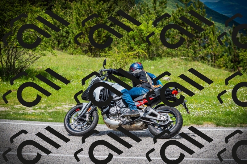 202505171148-DSC05079_c1_