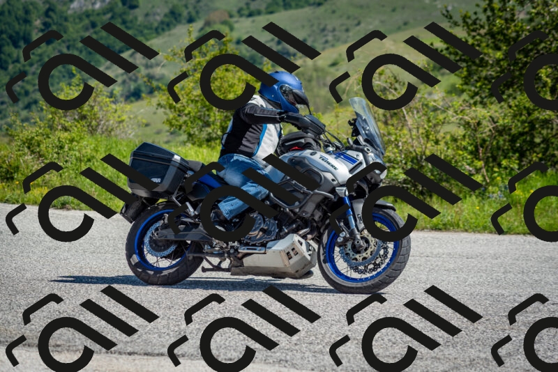 202505251038-DSC_0352_c2