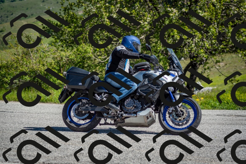 202505251038-DSC_0353_c2