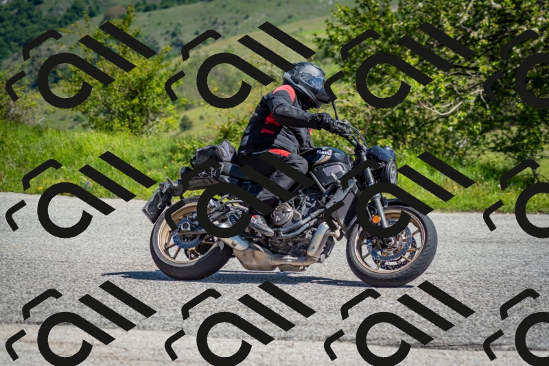 202505251043-DSC_0361_c2