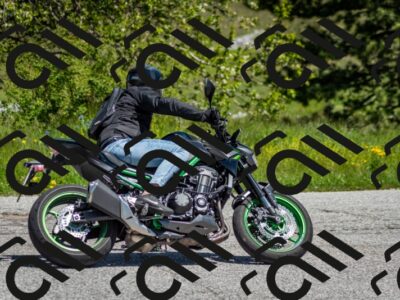 202505251204-DSC_0701_c2