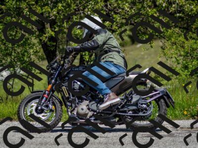 202505251220-DSC_0798_c2