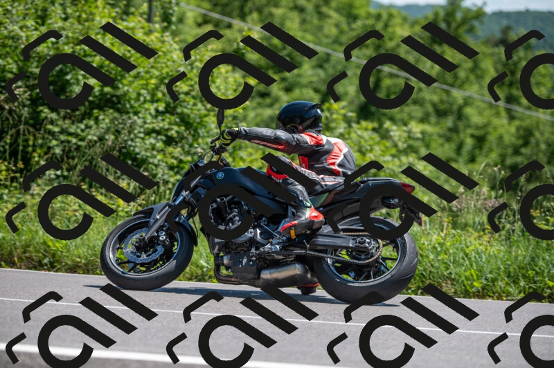 202505241433-M22_6023_m2_