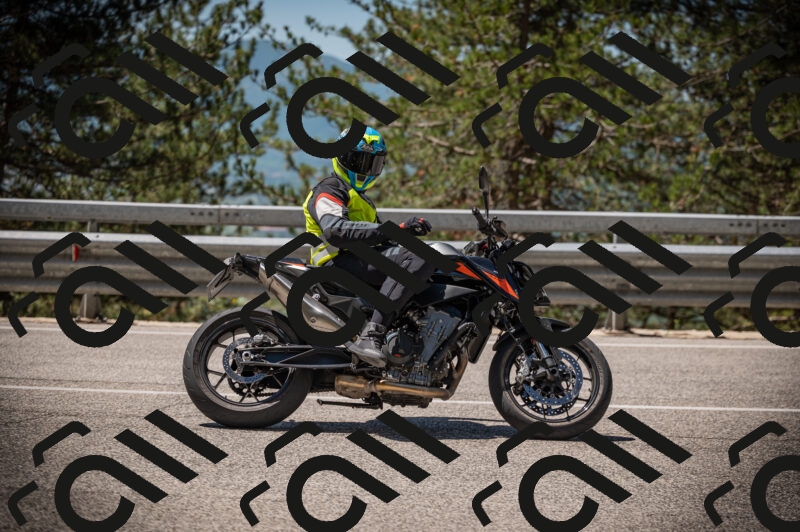 20250525115202-Z62_3002_am_