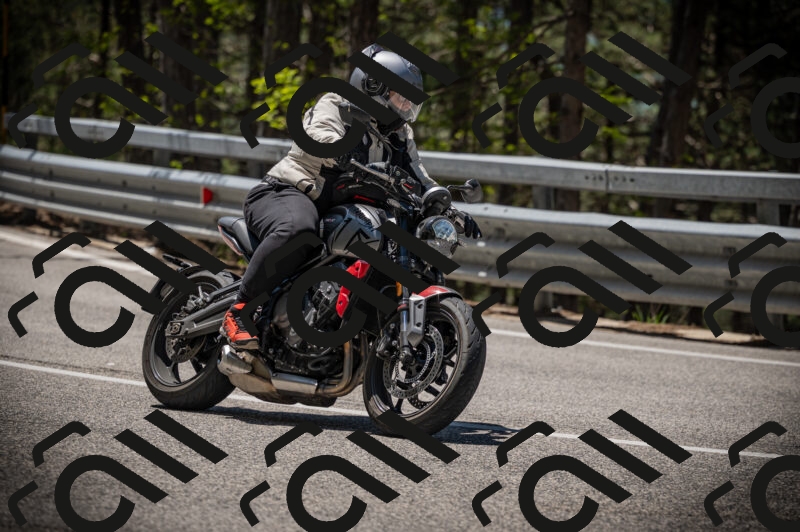 20250525120109-Z62_3156_am_