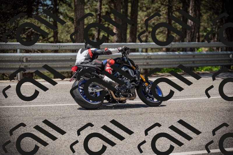 20250525120314-Z62_3212_am_