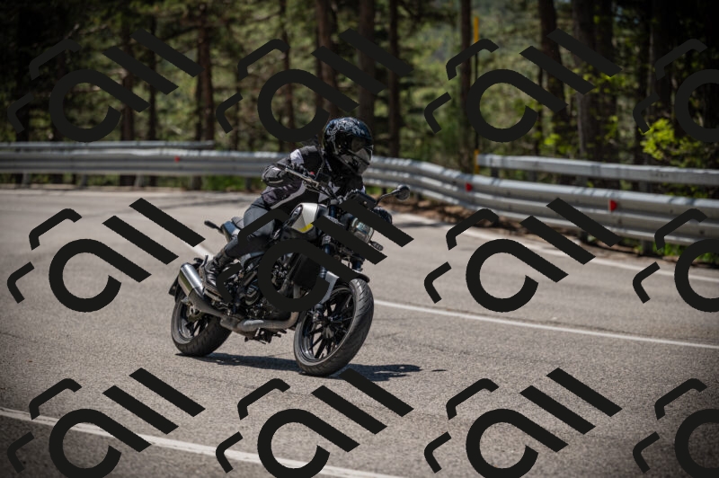 20250525120424-Z62_3227_am_