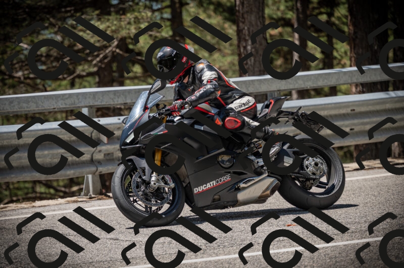 20250525121346-Z62_3371_am_