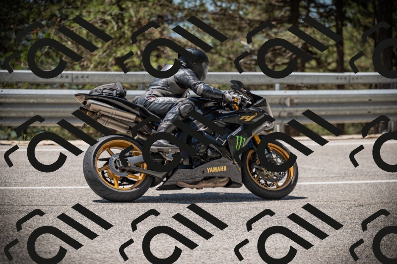 20250525121431-Z62_3394_am_