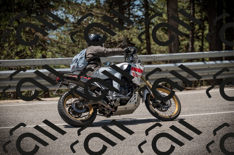 20250525122603-Z62_3538_am_