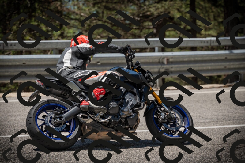 20250525123045-Z62_3611_am_