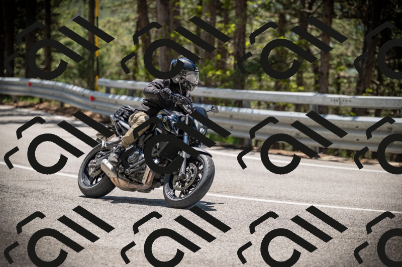 20250525124321-Z62_3802_am_