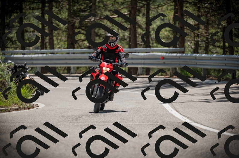 20250525124850-Z62_3906_am_