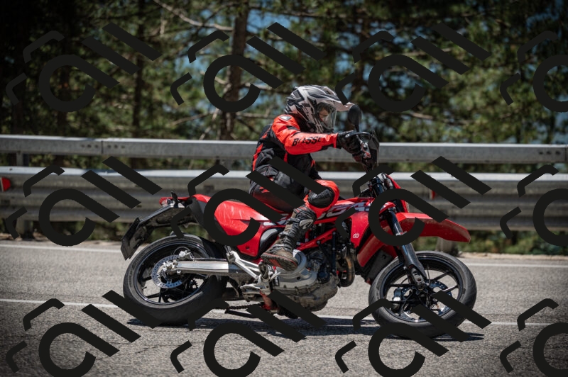 20250525124852-Z62_3909_am_