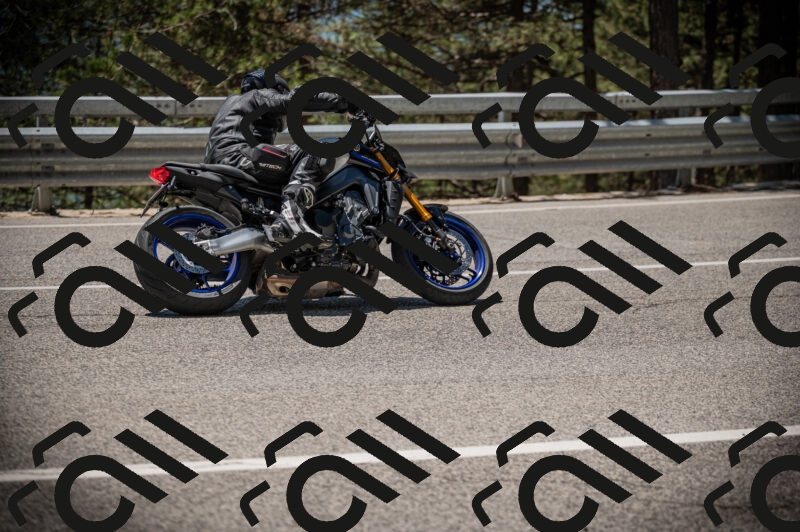 20250525124859-Z62_3918_am_