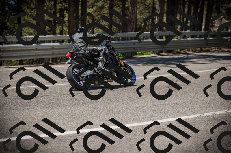 20250525124859-Z62_3919_am_