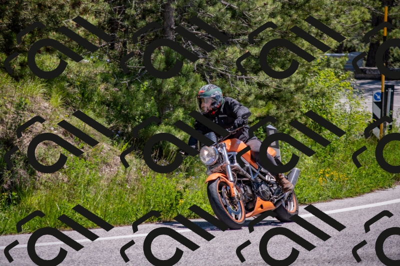 202505251241-DSC_2076_c4_