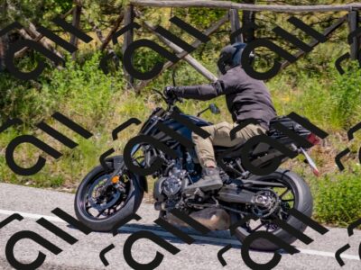 202505251243-DSC_2121_c4_