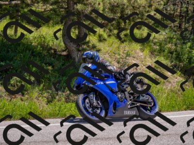 202505251246-DSC_2233_c4_