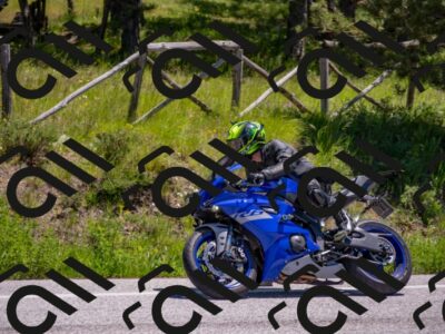 202505251247-DSC_2246_c4_