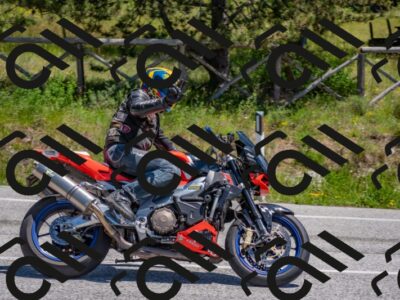 202505251251-DSC_2281_c4_