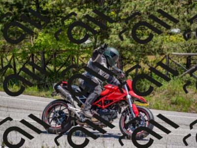 202505251255-DSC_2331_c4_