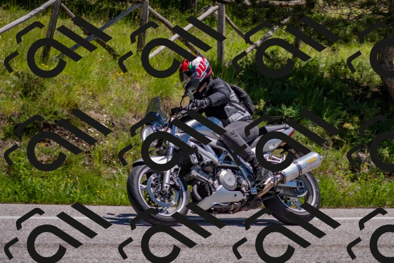 202505251302-DSC_2385_c4_