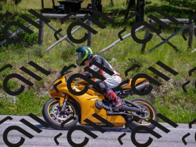 202505251302-DSC_2395_c4_