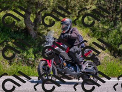 202505251306-DSC_2439_c4_