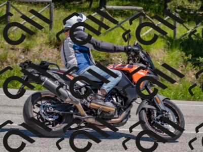 202505251307-DSC_2471_c4_