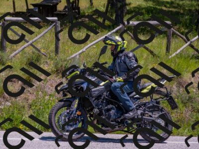 202505251307-DSC_2473_c4_