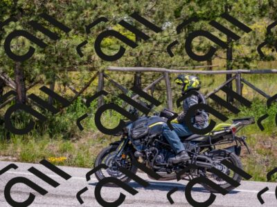 202505251307-DSC_2474_c4_