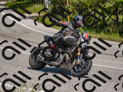 202505251311-DSC_2489_c4_