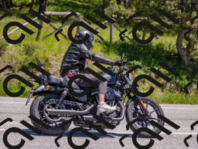 202505251312-DSC_2502_c4_