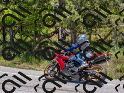 202505251318-DSC_2535_c4_