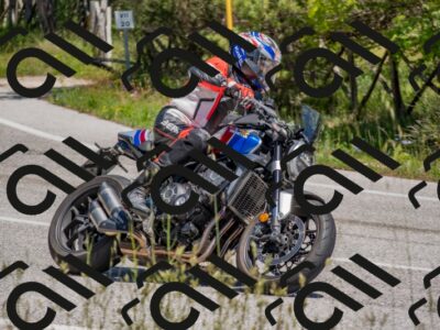 202505251319-DSC_2547_c4_